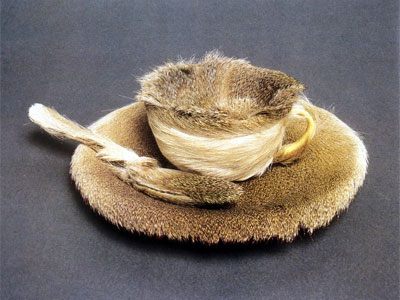 meret oppenheim's object in fur