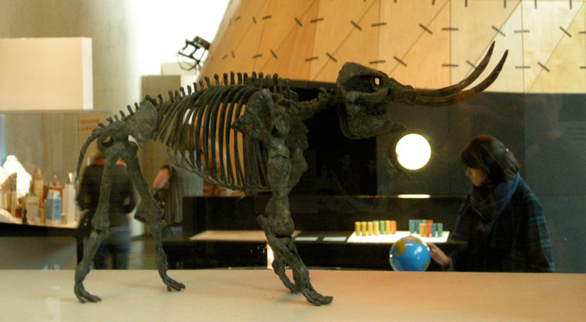 Mastodon skeleton at the Cranbrook Institute of Science