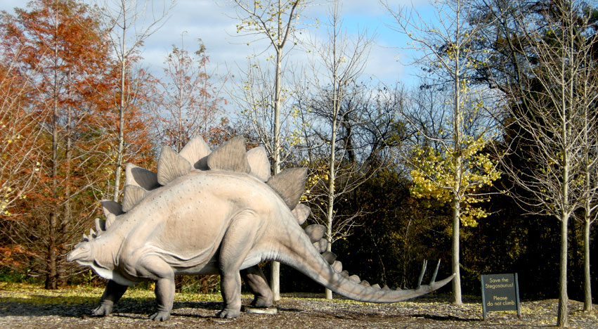 Stegosaurus at the Cranbrook Institute of Science