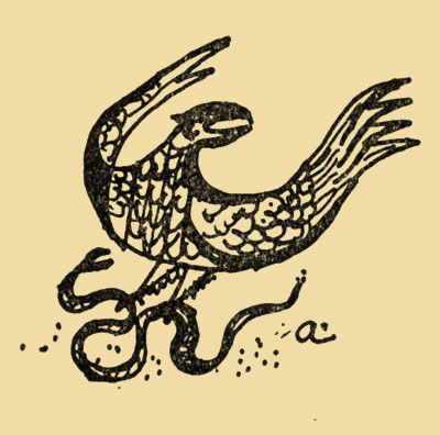 Illustration of an eagle attacking snake