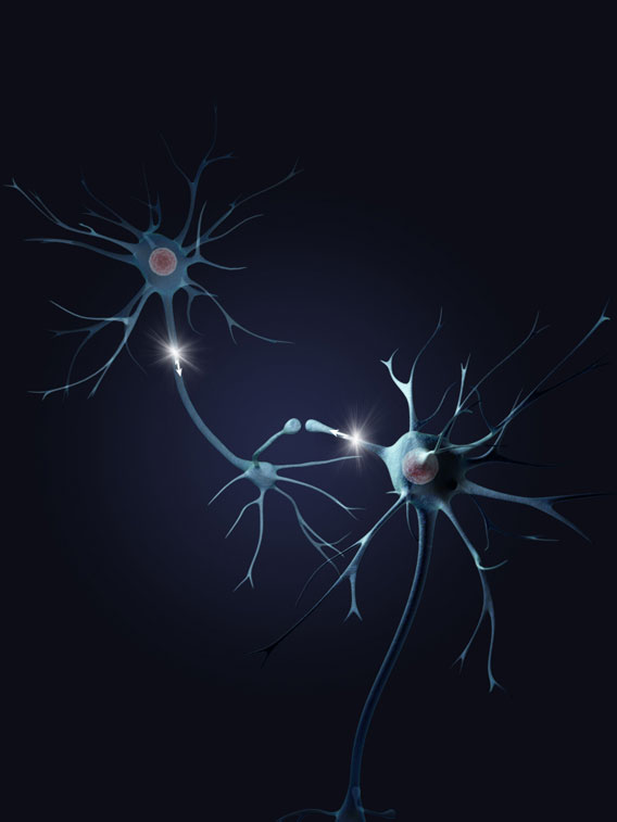 Neurons test render by Greg Kuebler